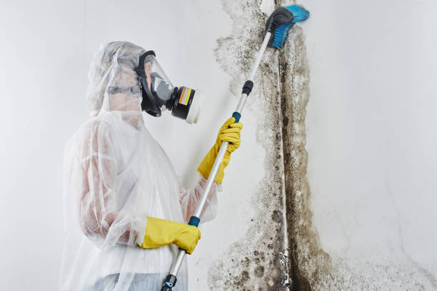 Best Forensic Mold Investigation  in Munising, MI